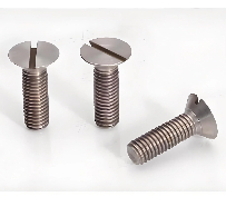 Titanium Slotted Bolt