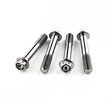 Titanium Front Brake Caliper Mount Bolt